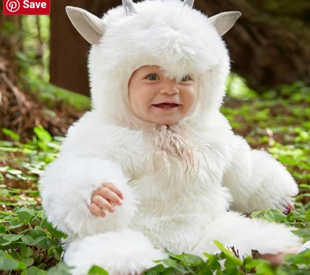 *BRAND NEW WITH TAGS* Pottery Barn Kids Costume